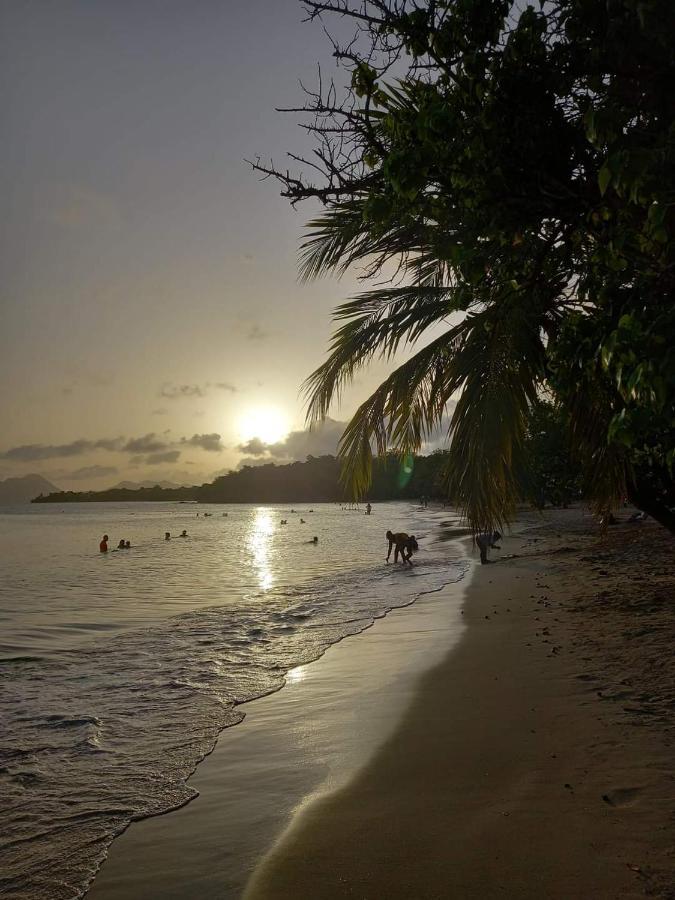 Studio Des Flots - Tartane Martinique La Trinité Dış mekan fotoğraf