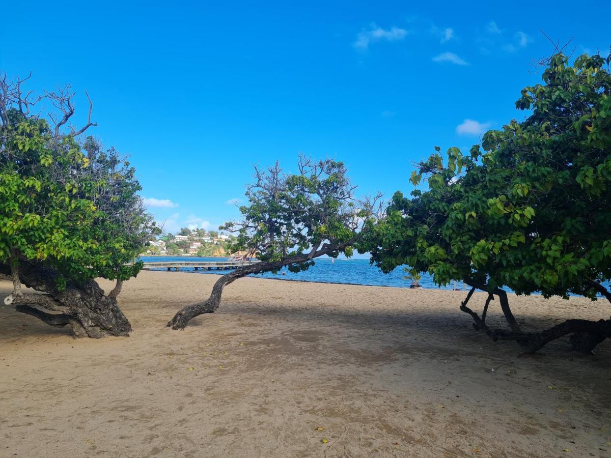 Studio Des Flots - Tartane Martinique La Trinité Dış mekan fotoğraf