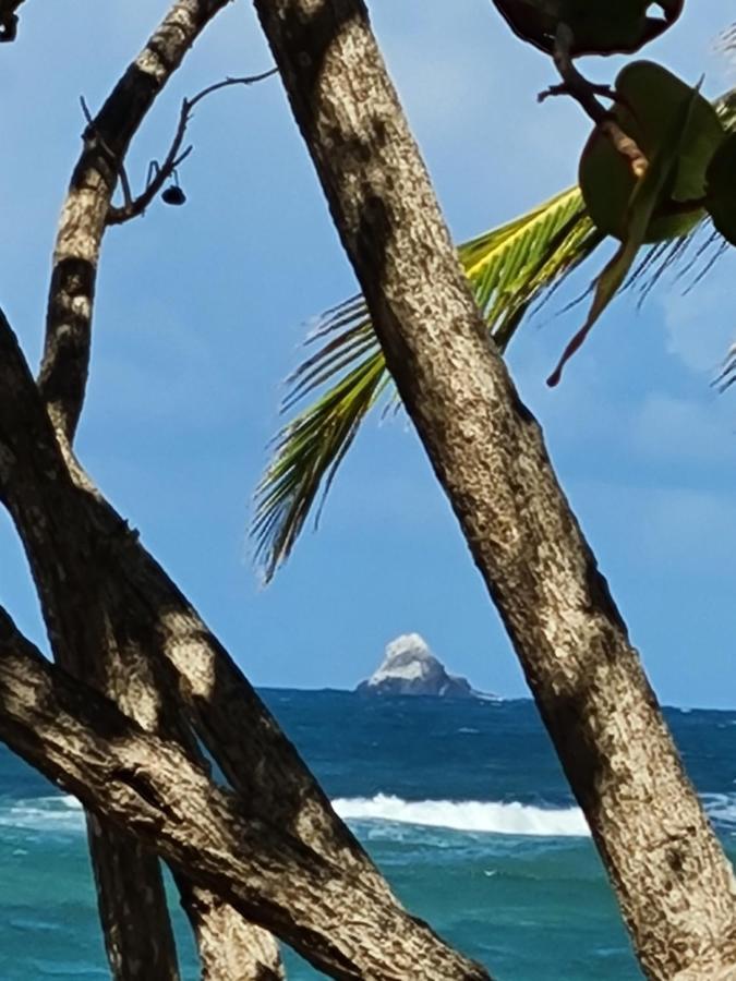 Studio Des Flots - Tartane Martinique La Trinité Dış mekan fotoğraf